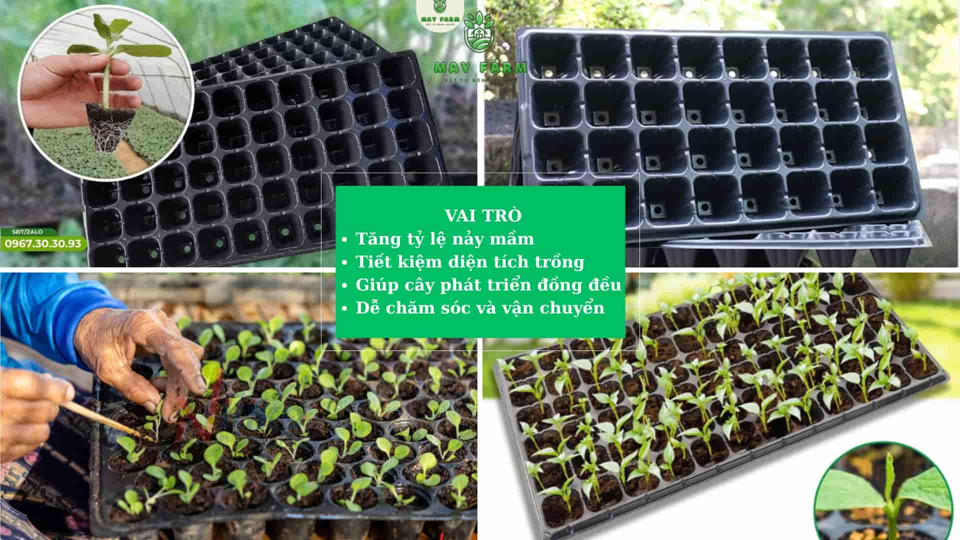 Vai trò của khay nhựa ươm hạt giống trong gieo trồng